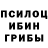 Псилоцибиновые грибы Magic Shrooms Tatiana Duloglu