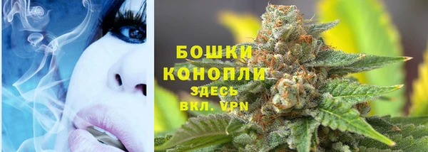 МДПВ Богородицк