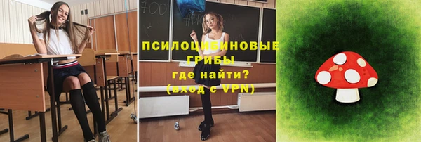 МДПВ Богородицк